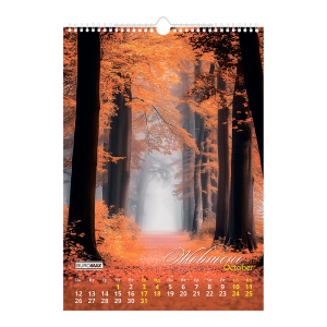 Календар настінний 2026 А3 1 пружина Buromax Seasons landscape BM.210603