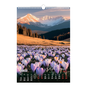 Календар настінний 2026 А3 1 пружина Buromax Seasons landscape BM.210603