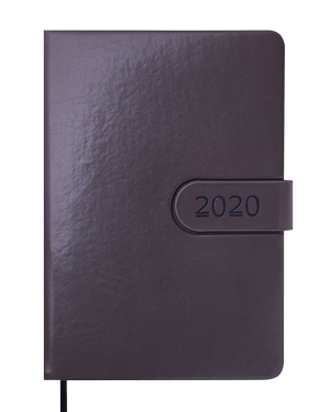 Ежедневник датированный 2020 SOLAR, A5, 336стр., BUROMAX BM.2125