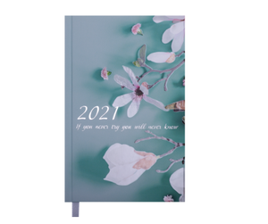 Щоденник датований 2021 SPOLETO, A6, BUROMAX BM.2568-06