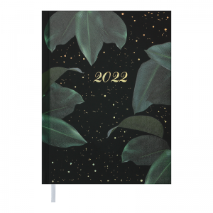 Ежедневник датированный ESTILO 2022 A5 BUROMAX BM.2165