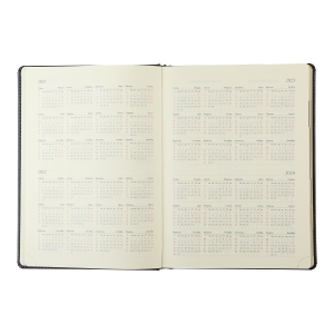 Ежедневник датированный 2022 BUROMAX SALERNO BM.2741