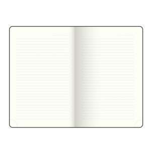 Ежедневник недатированный Buromax STRONG A5 бумвинил поролон 336 стр BM.20220-04