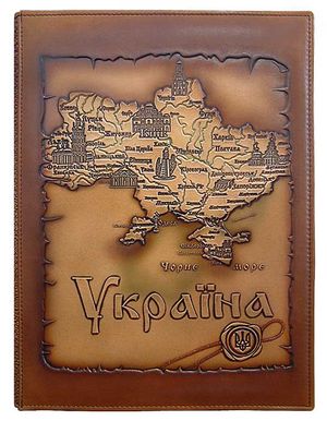 Визитница настольная на разъемных кольцах 24 х 32 см 10 визиток на 1 стр натуральная кожа Украина Foliant EG238
