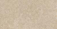 Плитка Pamesa Ceramica Alba Stone ALBA STONE GREIGE 120x60 изображение 3