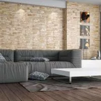 Плитка Cerrad Aragon Beige 8860 15x45 зображення 1