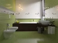 Плитка Cersanit FLORA GREEN 30X45 изображение 1