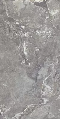 Плитка Allore Group Snake stone Grey 120x60 Mat изображение 1