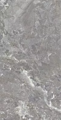 Плитка Allore Group Snake stone Grey 120x60 Mat изображение 3