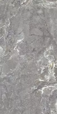 Плитка Allore Group Snake stone Grey 120x60 Mat изображение 4