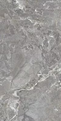 Плитка Allore Group Snake stone Grey 120x60 Mat изображение 6
