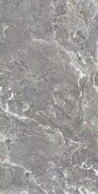 Плитка Allore Group Snake stone Grey 120x60 Mat изображение 7