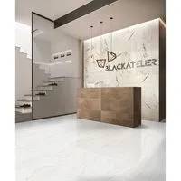 Плитка ALMERA CERAMICA China ALPINA GQP8510P 1200x600 изображение 1