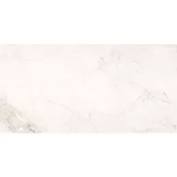 Плитка ALMERA CERAMICA China Lily RD189H027A LILY BEIGE 180x90 изображение 2