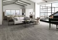 Плитка ALMERA CERAMICA Spain OLBERG GRIS MT 1200x230 изображение 1