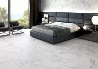 Плитка Argenta Ceramica CARRARA WHITE SHINE 30x60 зображення 1