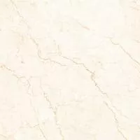 Плитка Cerama Market BIOTTO CHINO 80x80 зображення 1