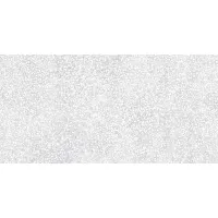 Плитка CERAMICA DESEO Alva ALVA terrazzo light grayAAG980 120x60 изображение 1