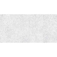 Плитка CERAMICA DESEO Alva ALVA terrazzo light grayAAG980 120x60 изображение 2