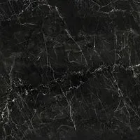 Плитка Cerrad ELDROCK Black 60x60 изображение 1