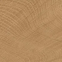 Плитка EMIL CERAMICA W-CIRCLES ENJE WCI WALNUT 100X100 10x10 зображення 1