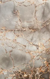 Плитка ITALICA Exclusive EP-00032 60x120 зображення 1