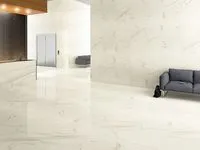 Плитка Kutahya Seramik Albatros полированная 55012900RN изображение 6