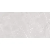 Плитка MEGAGRES ELEMENT ELEMENT AMARANTO GREY 120x60 изображение 5