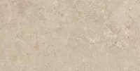 Плитка Pamesa Ceramica Alba Stone ALBA STONE GREIGE 120x60 зображення 6