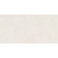 Плитка Pamesa Ceramica Core 60X120 120x60 зображення 1