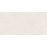 Плитка Pamesa Ceramica Core 60X120 120x60 зображення 2