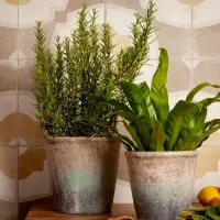 Плитка PERONDA FS FARFALLA FS FARFALLA MUSTARD/45X45X0,95 45x45 изображение 3