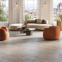 Плитка Porcelanosa Colorado 100355035 COLORADO SILVER L 120X120 изображение 1