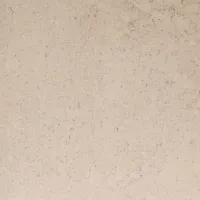 Плитка Porcelanosa Dorcia 100348054 DORCIA BONE L 80X80 изображение 2