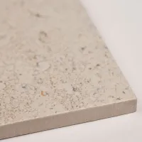 Плитка Porcelanosa Dorcia 100348054 DORCIA BONE L 80X80 изображение 4