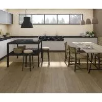 Плитка ARCANA CERAMICA Himalia Marfil 33,3x100 изображение 1