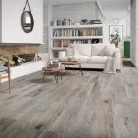 Плитка STN CERAMICA ARTICWOOD ARGENT 23х120 изображение 1