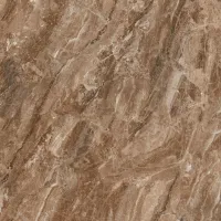 Плитка Teo Ceramics Bruno brown F P 60x60 RN Mat изображение 2