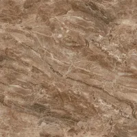 Плитка Teo Ceramics Bruno brown F P 60x60 RN Mat изображение 3