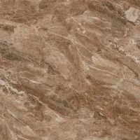 Плитка Teo Ceramics Bruno brown F P 60x60 RN Mat изображение 5