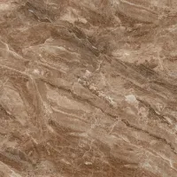 Плитка Teo Ceramics Bruno brown F P 60x60 RN Mat изображение 6