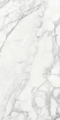Плитка Teo Ceramics Carma White F P 60x120 R Sumat зображення 2