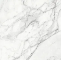 Плитка Teo Ceramics Carma White F P 60x60 R Sumat изображение 2