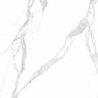 Плитка Teo Ceramics Carrara White F P R Full Lappato 60x60 изображение 2