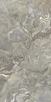 Плитка Teo Ceramics Magnifica Grey F P 60x120 R Sumat зображення 2