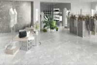 Плитка Teo Ceramics Snake Stone Silver F PC R Sugar 60x60 изображение 1