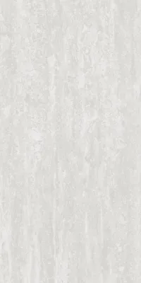 Плитка Teo Ceramics Treviso Silver F P 60x120 R Mat зображення 1