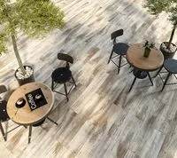 Плитка Zeus Ceramica LEGNO BRUNO ZZXLV6BR зображення 1