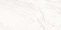 Плитка Opoczno SELEST IVORY GLOSSY 30x60 изображение 3
