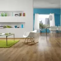 Ламінат Kronopol Platinium Exelence 87EX Дуб Дублін 2597 зображення 1